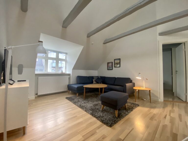Østerbro apartments for rent Copenhagen longterm rentals